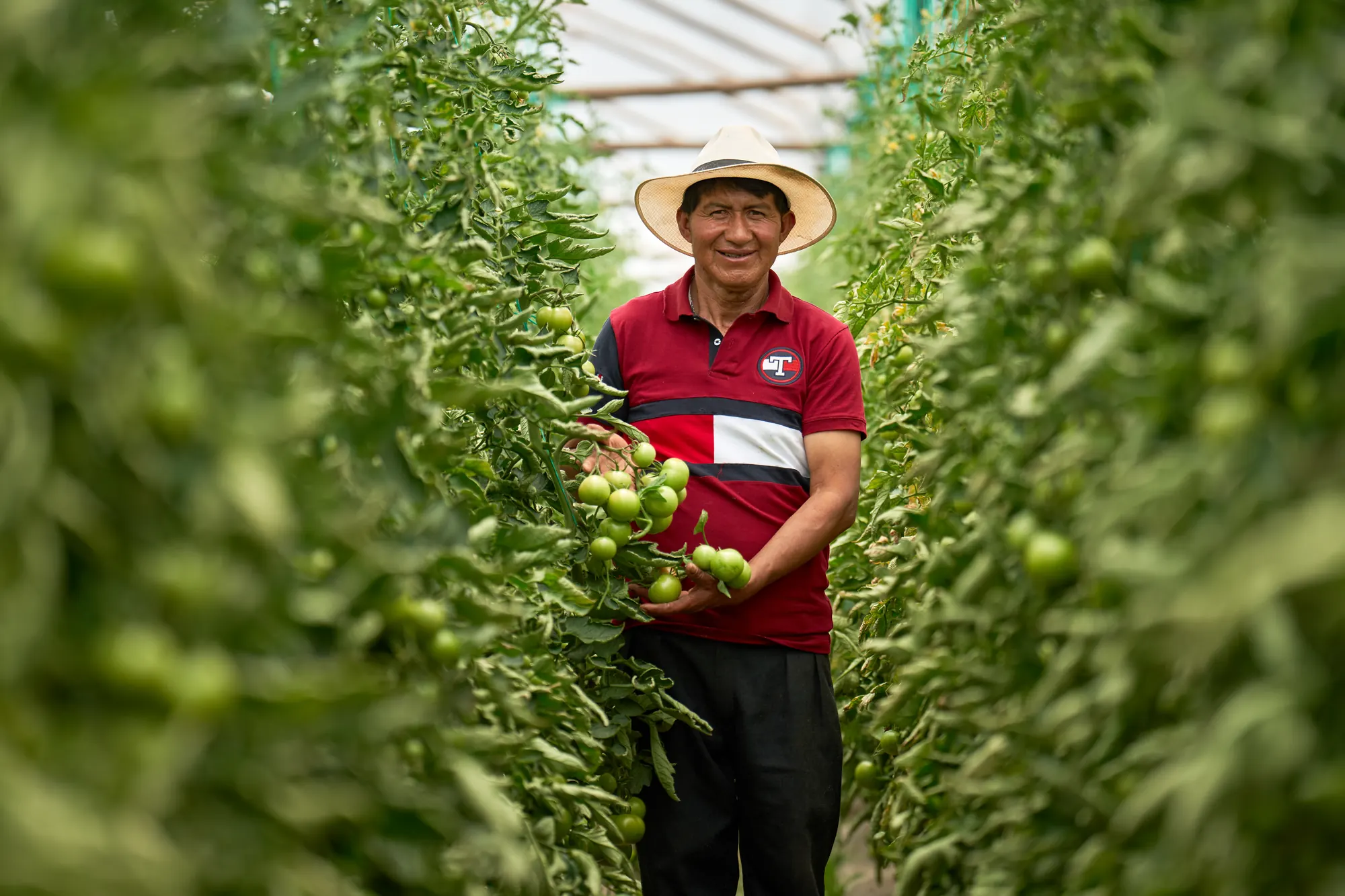 Luis Pinguisaca, agricultor, Banco ProCredit, 2024